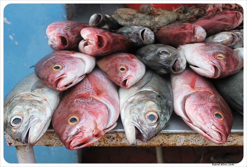 Kerasnya kehidupan para nelayan India Selatan