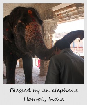 Polaroid de la semaine :Béni par un éléphant à Hampi, Inde
