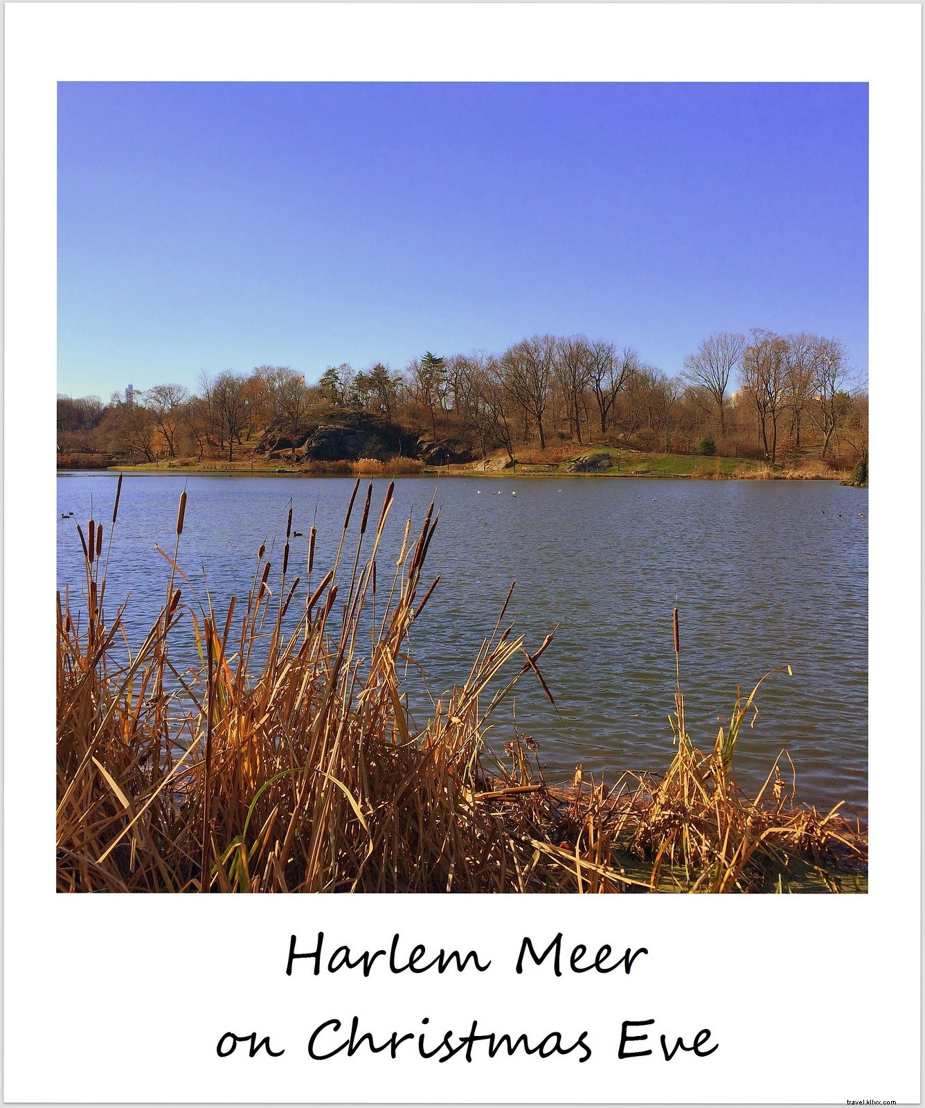 Polaroid de la semaine :Harlem Meer par une journée ensoleillée de décembre