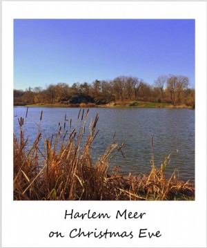 Polaroid de la semana:Harlem Meer en un soleado día de diciembre