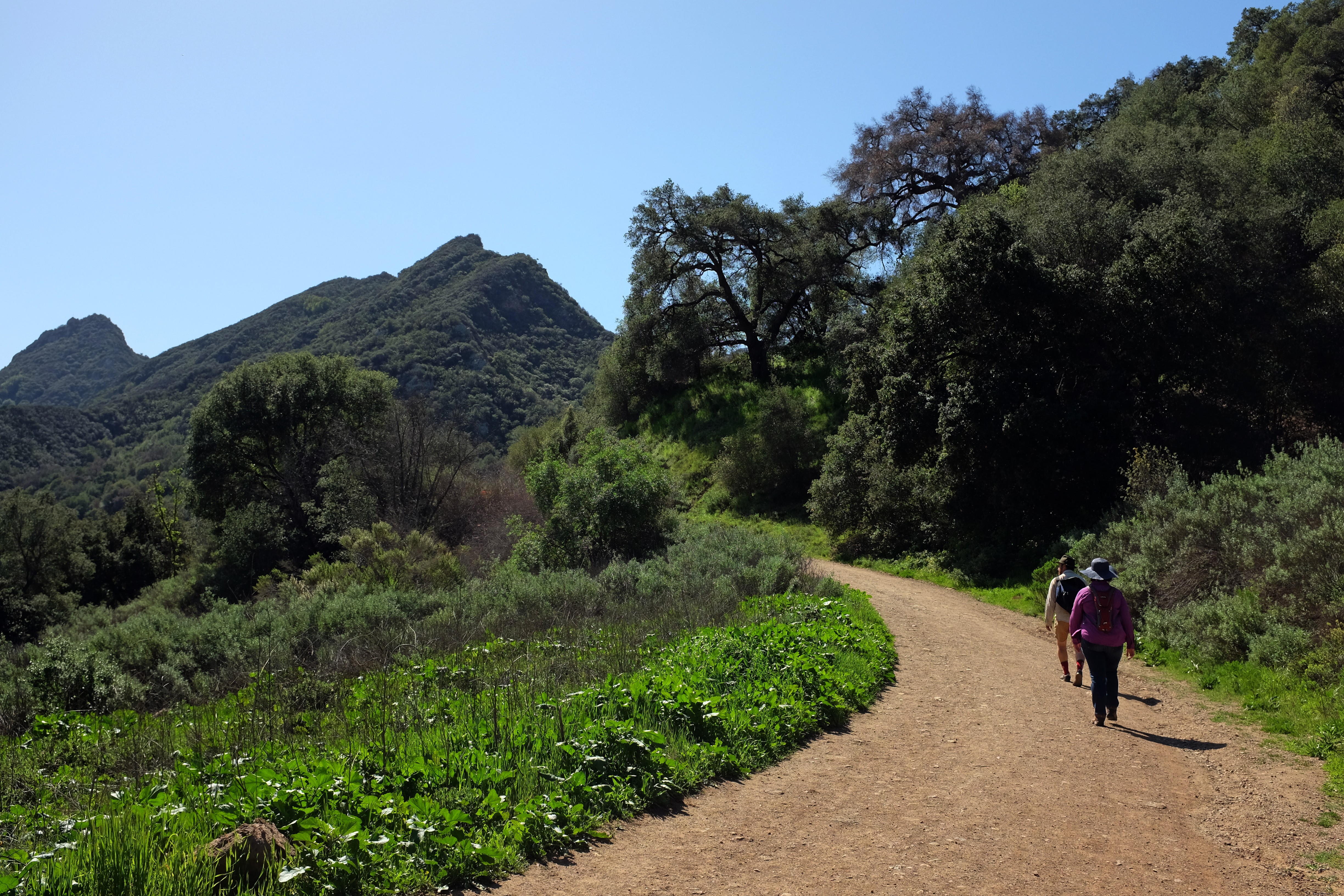 Jalur pendakian teratas di Los Angeles untuk pejalan kaki di dalam diri Anda