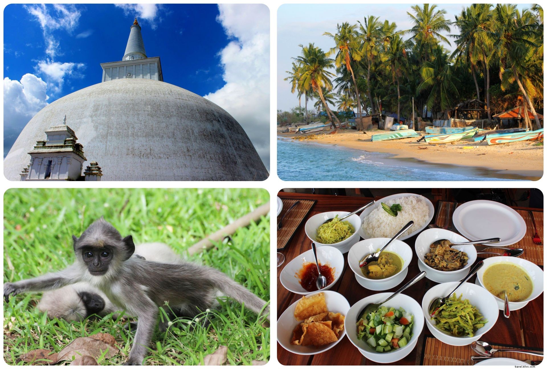スリランカの紹介：私の第一印象といくつかの楽しい事実