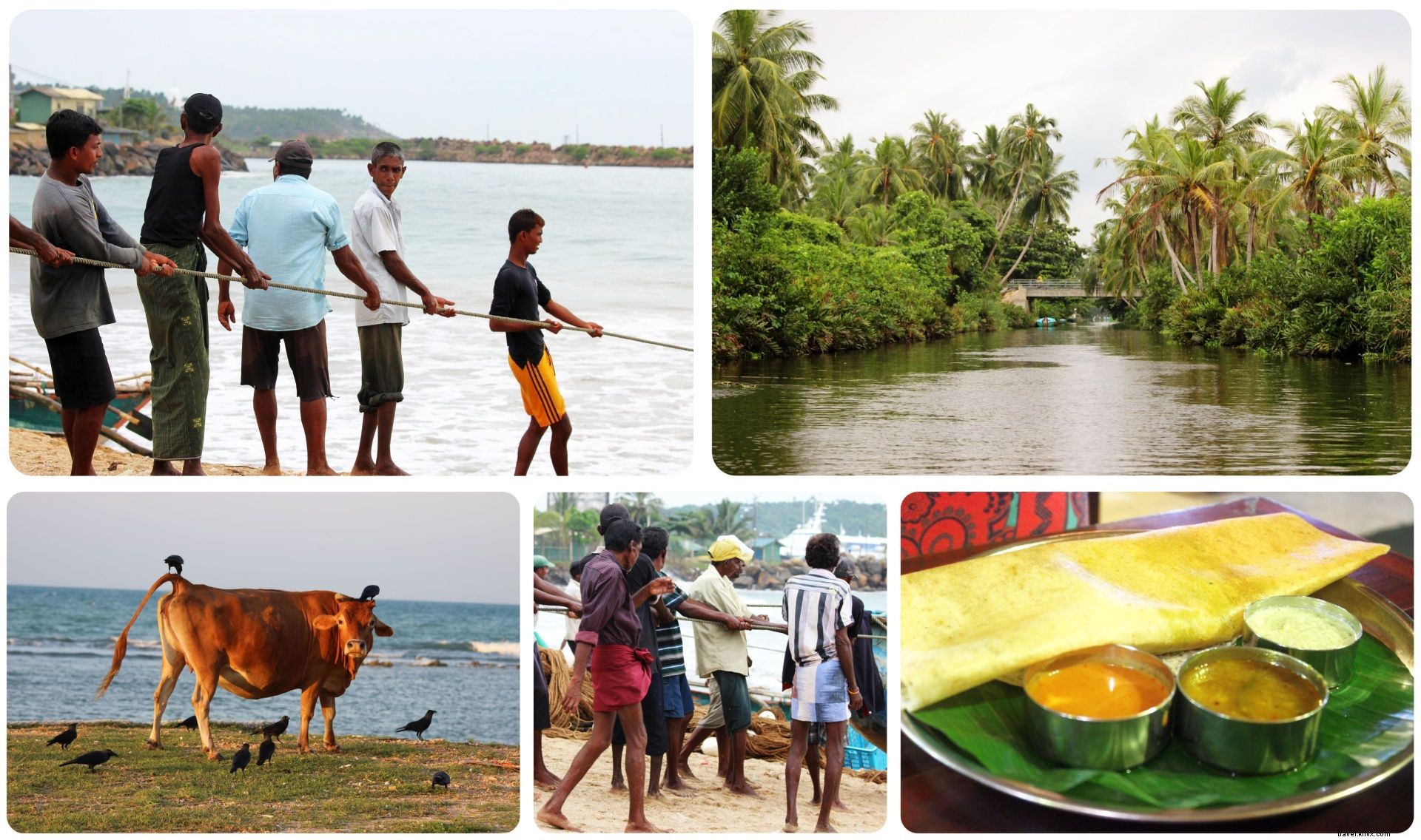 Présentation du Sri Lanka :Mes premières impressions et quelques faits amusants