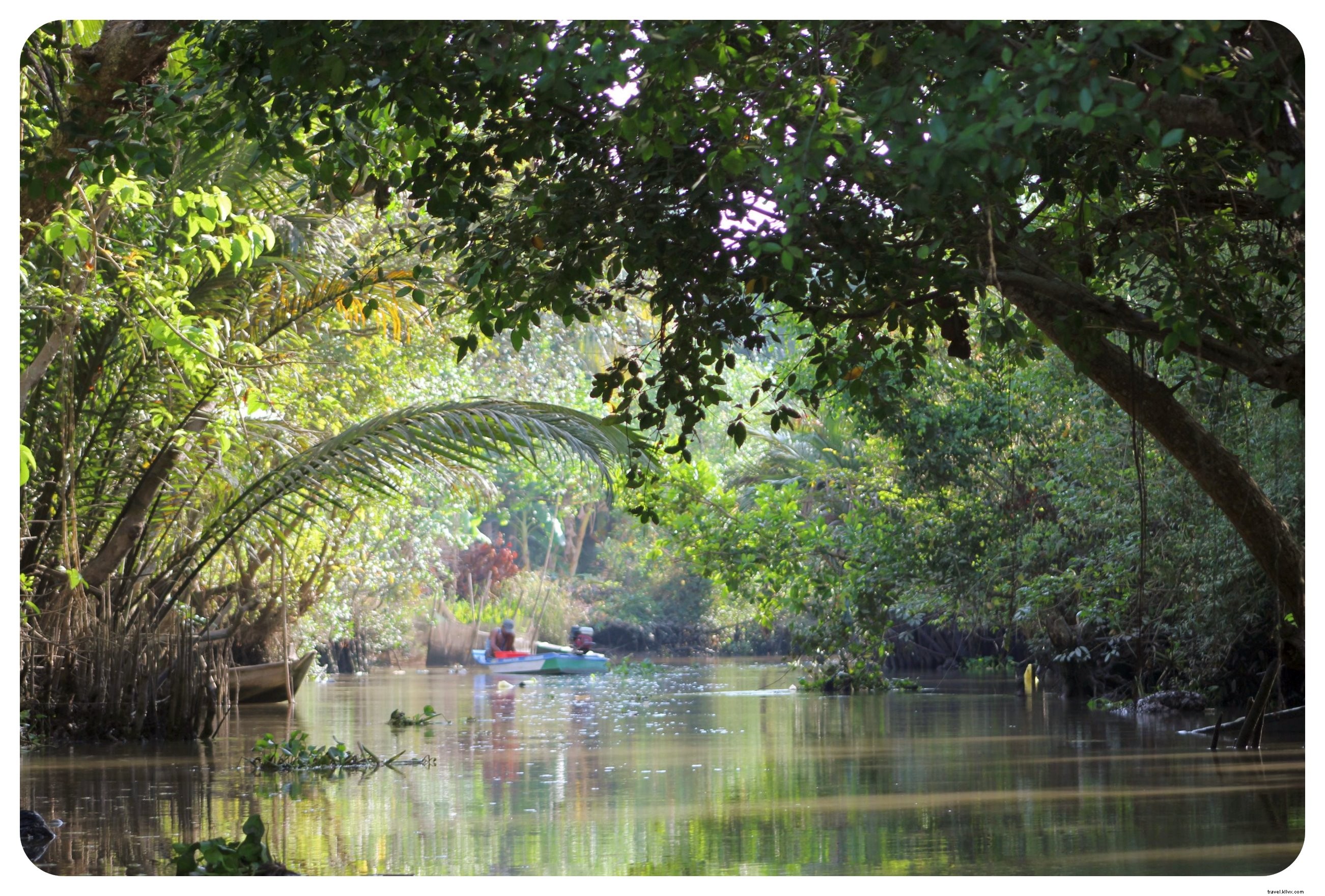 Delta del Mekong de Vietnam:mercados flotantes y vida en el río