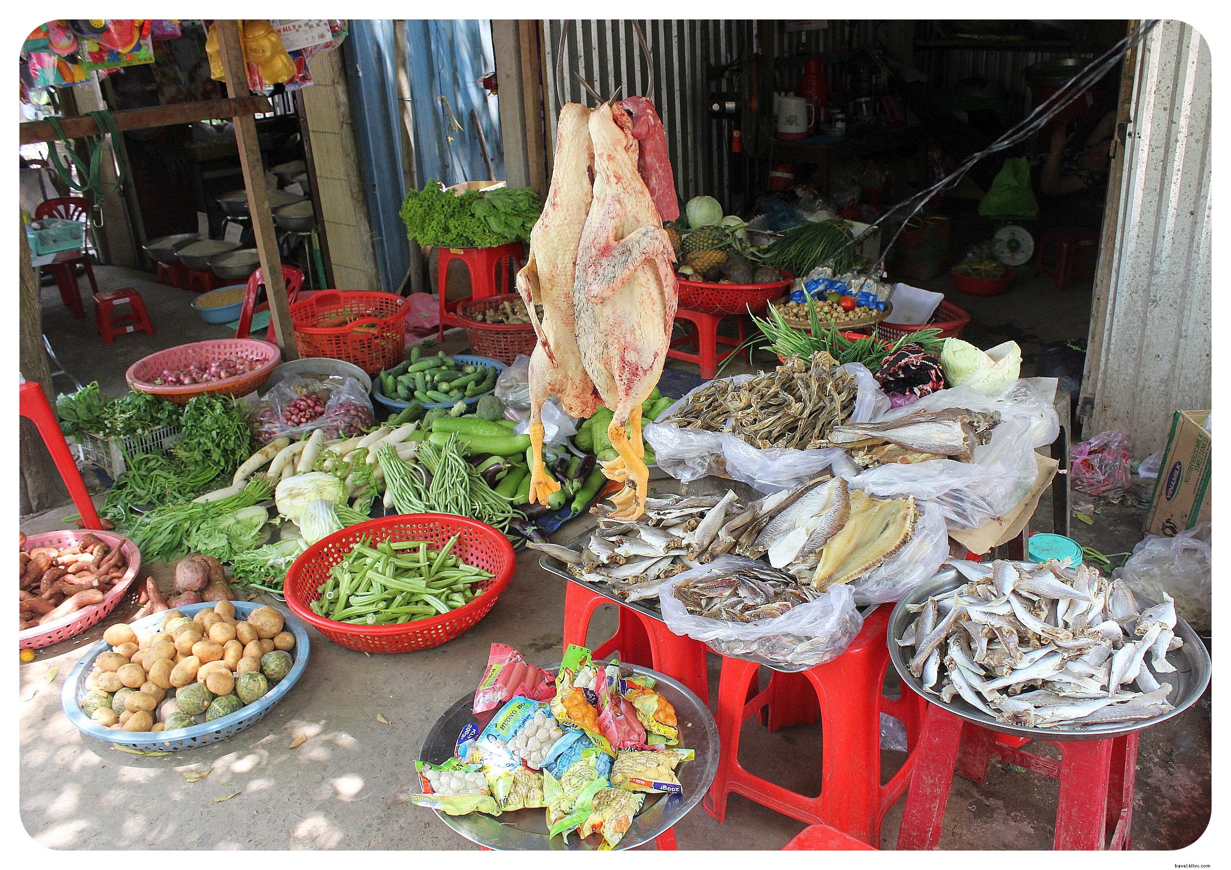 Delta du Mékong au Vietnam :marchés flottants et vie sur le fleuve