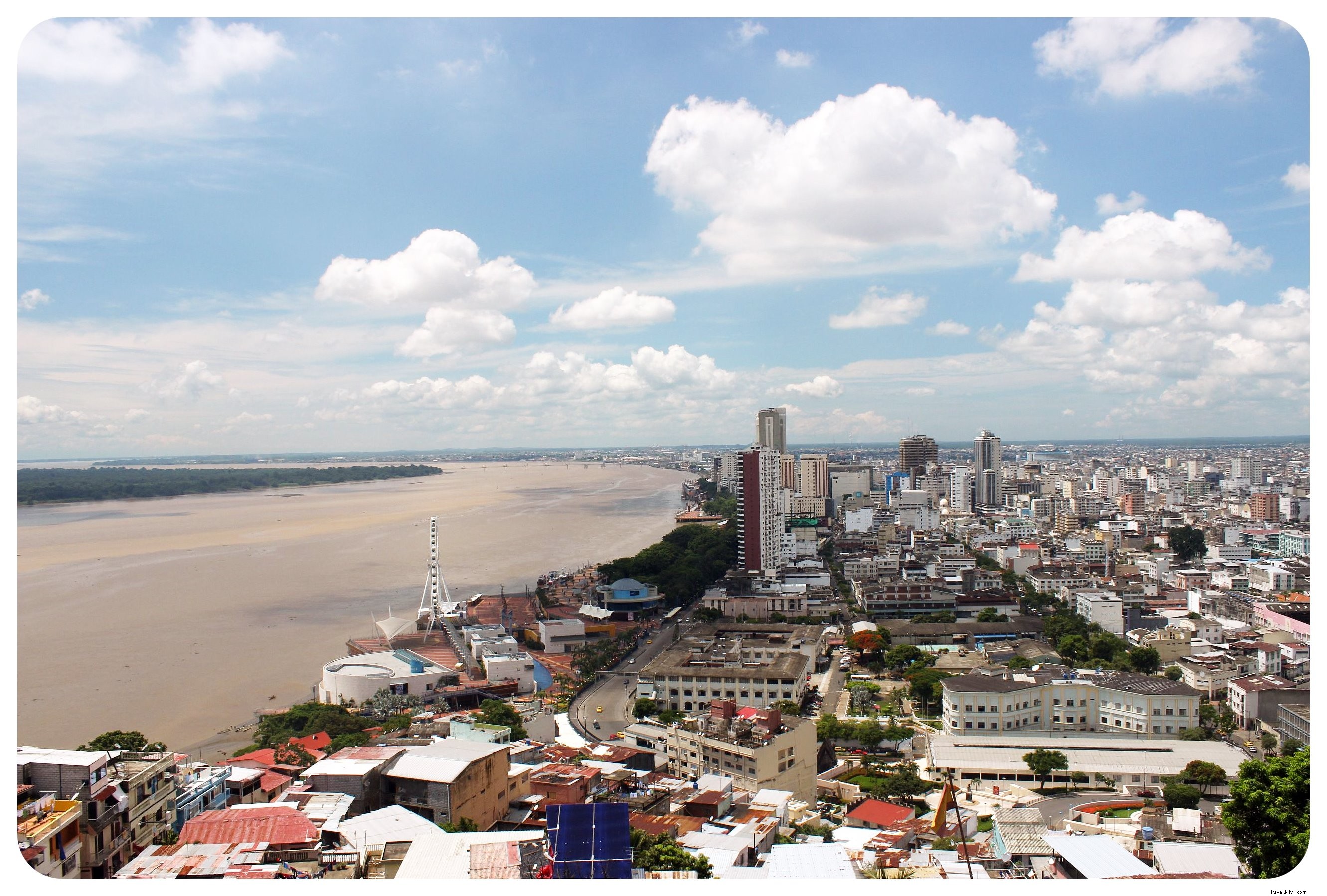 Bagaimana Iguana Menyelamatkan Guayaquil Untuk Saya