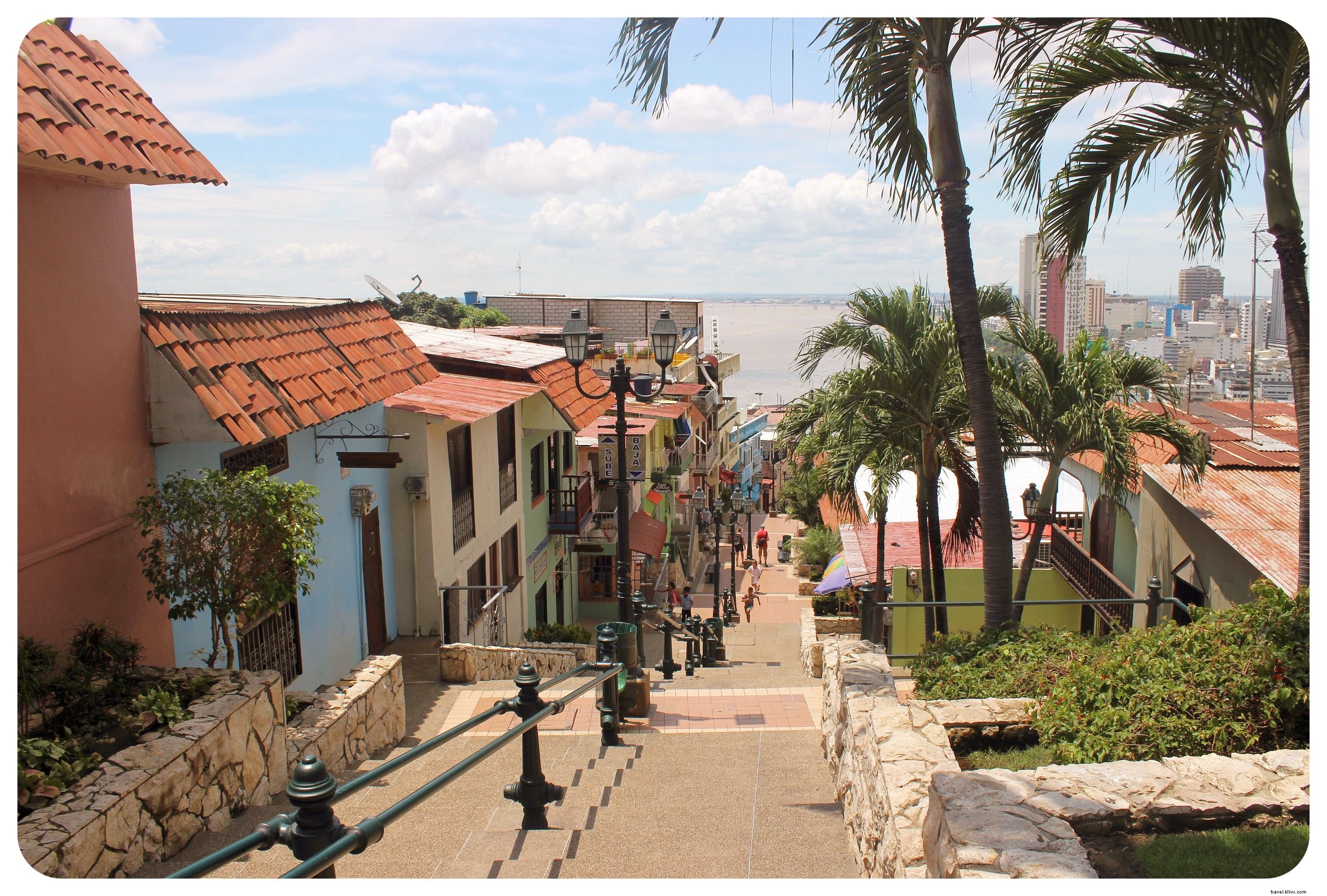 Comment les iguanes ont sauvé Guayaquil pour moi