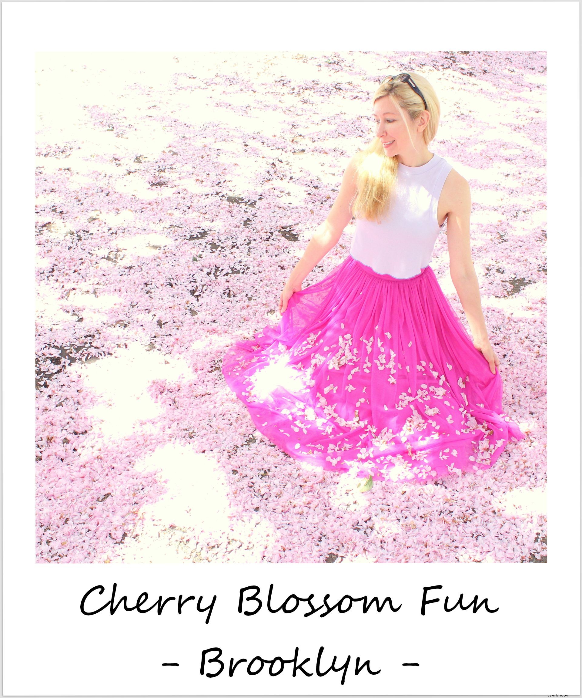 Polaroid della settimana:tappeto Cherry Blossom a New York City