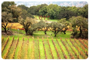 The Ultimate LGBT Travel Guide To Santa Rosa and Sonoma Wine Country