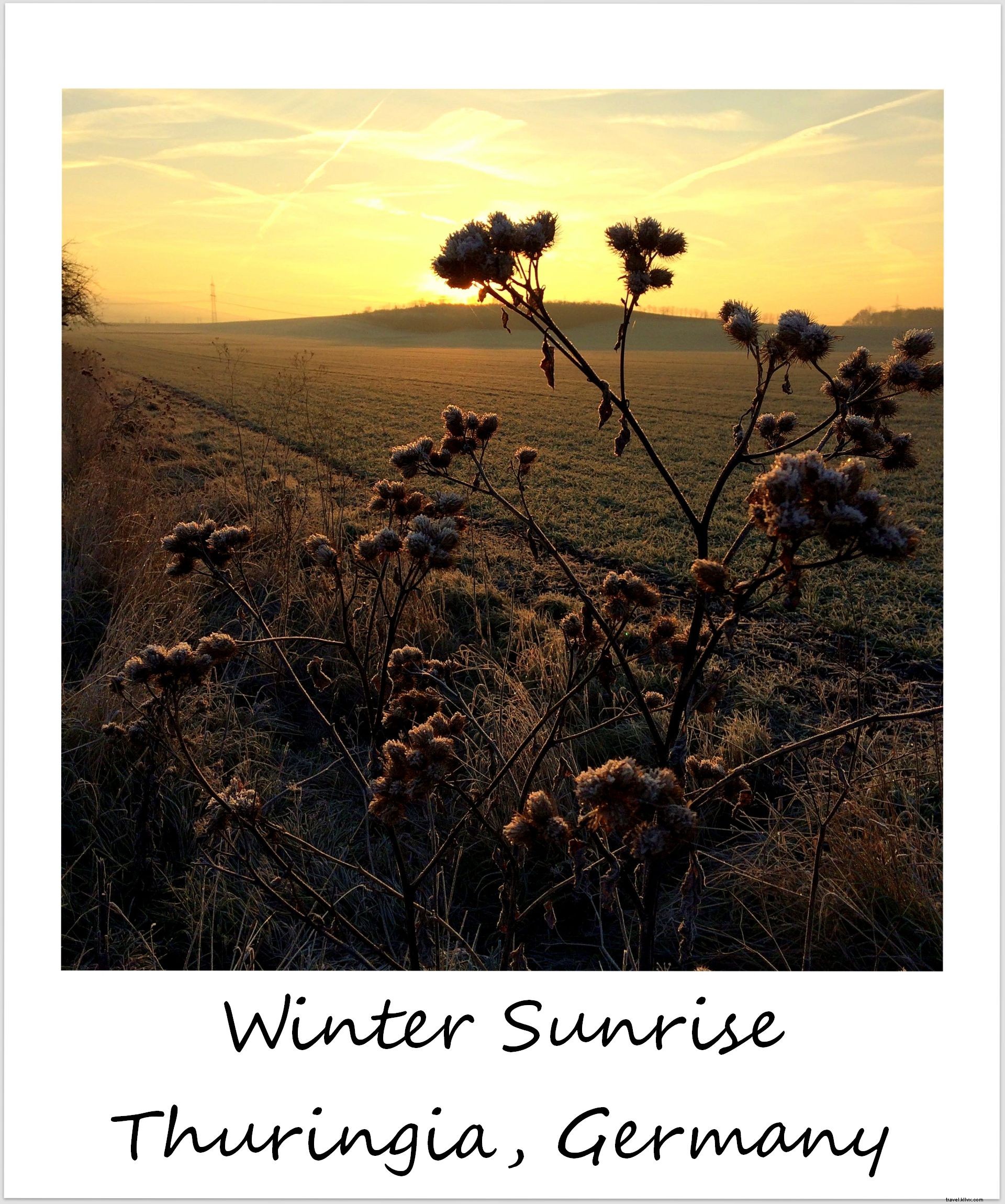 Polaroid de la semaine :un lever de soleil hivernal en Allemagne