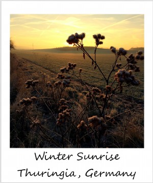 Polaroid de la semaine :un lever de soleil hivernal en Allemagne