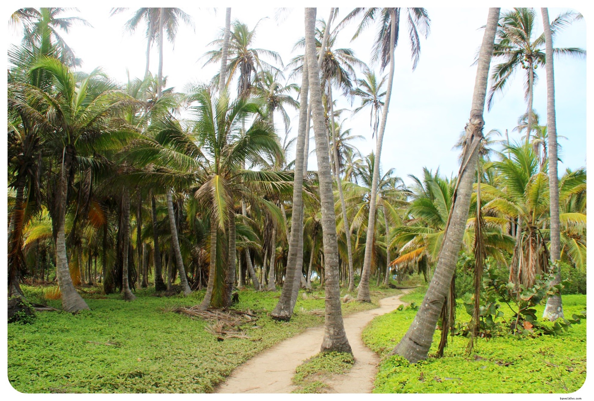 Tayrona, Colômbia:onde a selva encontra a praia