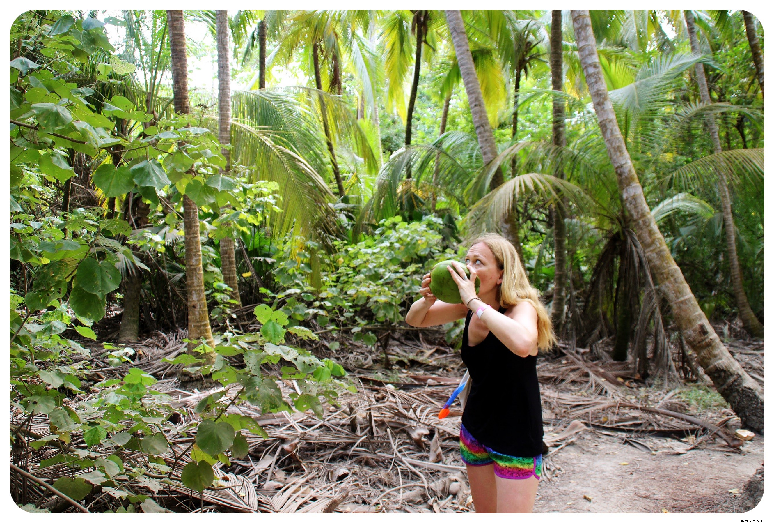 タイロナ、 コロンビア：ジャングルとビーチが出会う場所