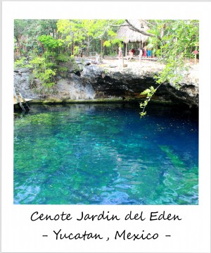 Polaroid da semana:misteriosa e bela - os cenotes do Yucatán
