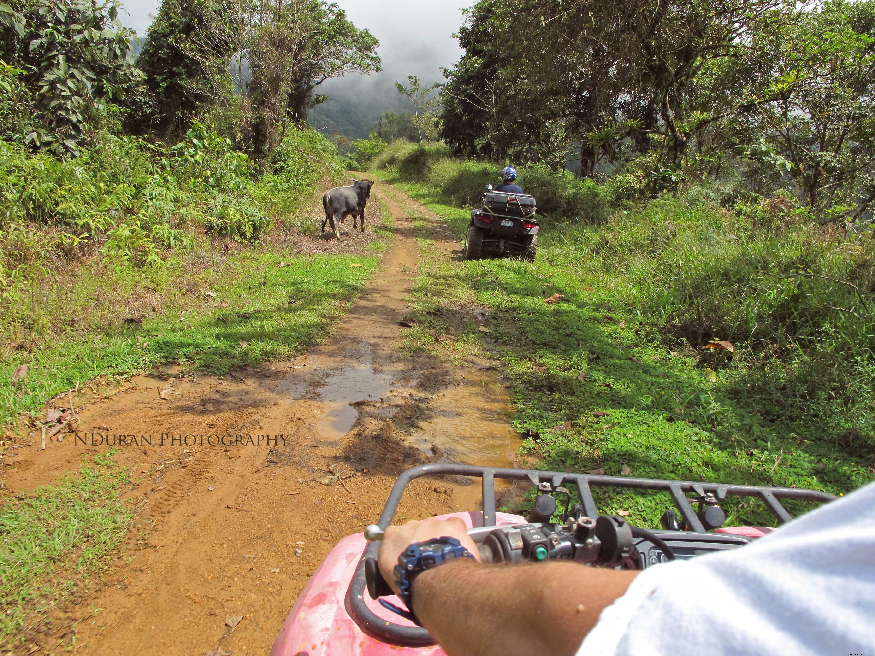 Cinque avventure da brivido in Costa Rica da non perdere