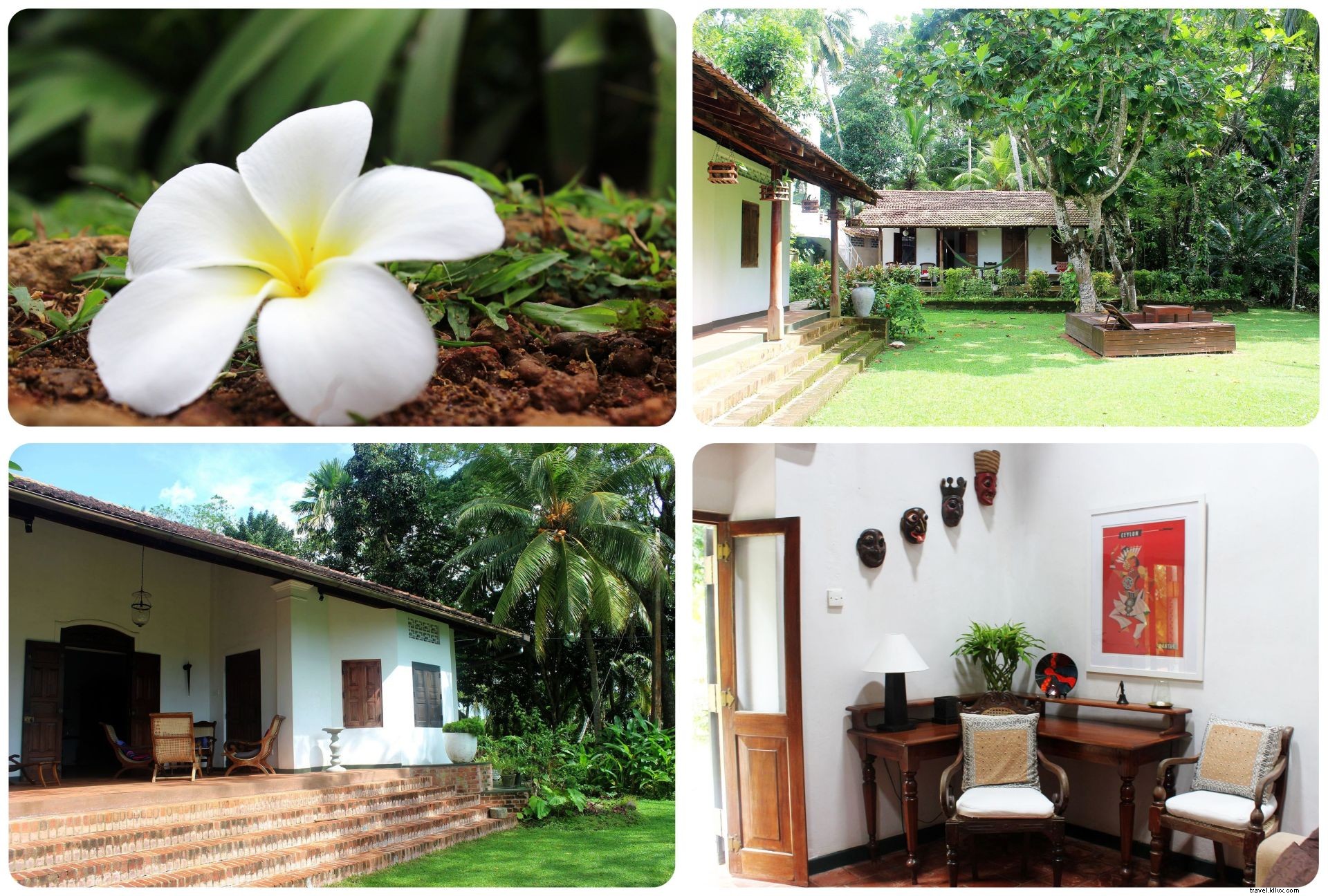 Tempat menginap di Galle, Sri Lanka:Villa Templeberg