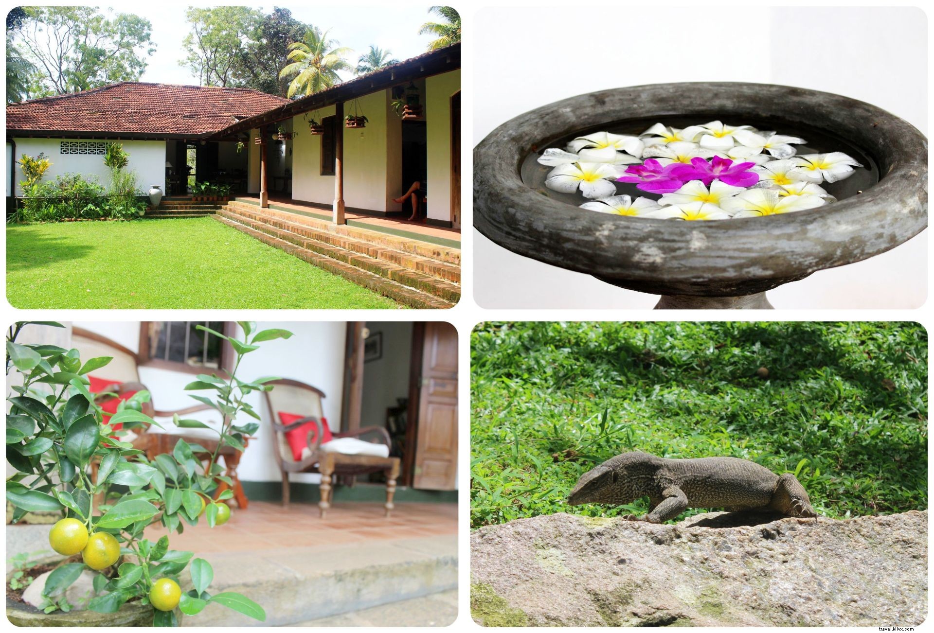 Onde ficar em Galle, Sri Lanka:Villa Templeberg