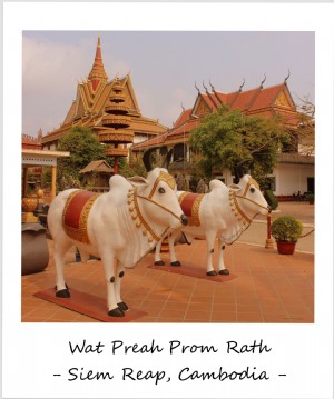 Polaroid minggu ini:Kembali ke Kamboja