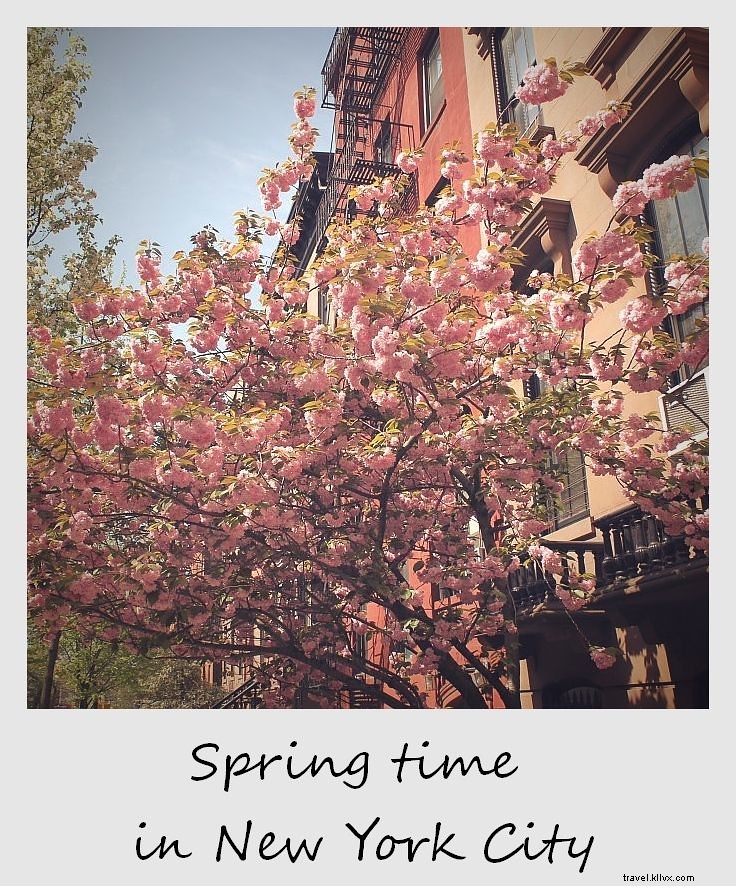 Polaroid da semana:primavera na cidade de Nova York