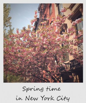 Polaroid de la semaine :le printemps à New York