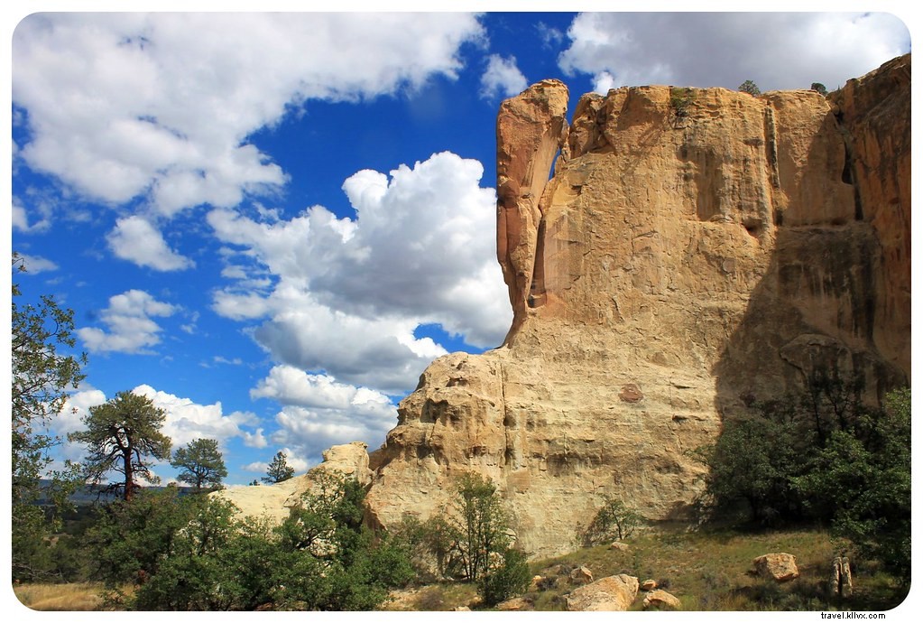 alieni, lama e abitazioni rupestri… vi portiamo a fare un viaggio nel New Mexico (Video)