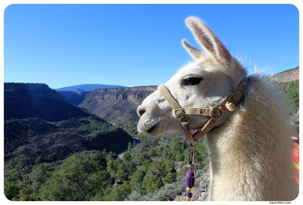 alien, llama dan gua tempat tinggal...biarkan kami membawa Anda dalam perjalanan melalui New Mexico (Video)