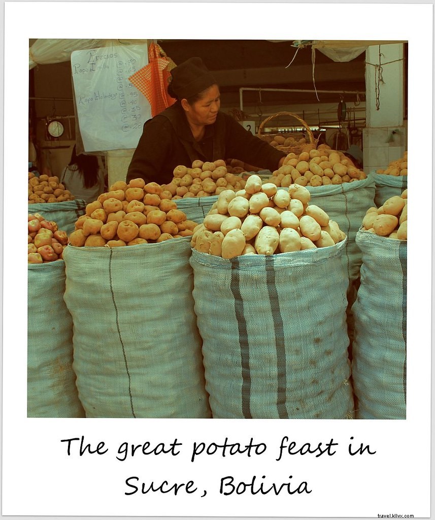 Polaroid da semana:o grande banquete da batata em Sucre, Bolívia