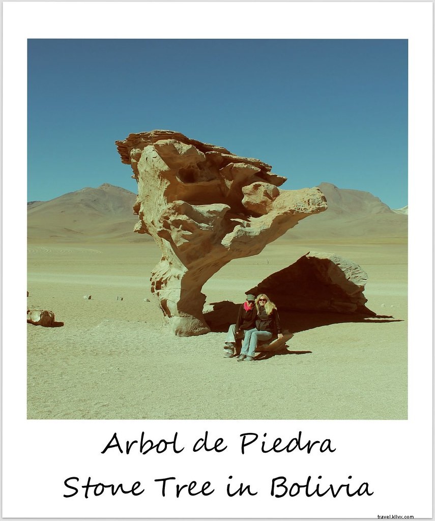 Polaroid de la semana:El árbol de piedra en el desierto de Siloli en Bolivia