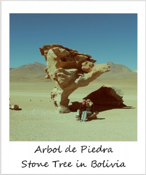 Polaroid de la semaine :L arbre de pierre dans le désert de Siloli en Bolivie