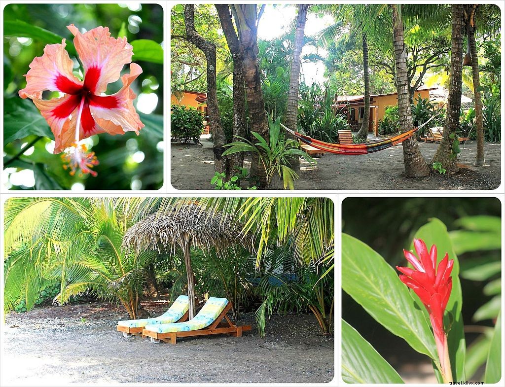 Hotel Consiglio della settimana:Hotel Fenix ​​| Playa Samara, Costa Rica
