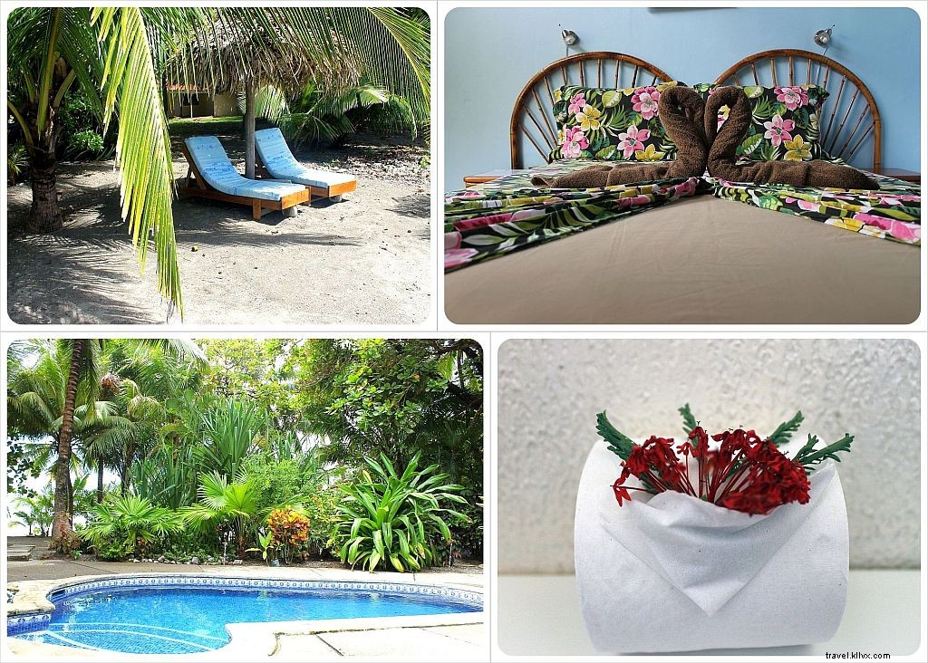 Tip Hotel Minggu Ini:Fenix ​​Hotel | Playa Samara, Kosta Rika