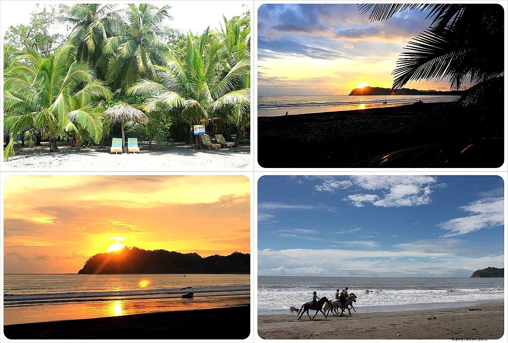 Sugerencia hotelera de la semana:Hotel Fenix ​​| Playa Samara, Costa Rica