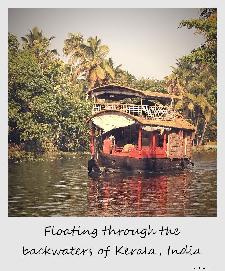 Polaroid de la semana:flotando por los remansos de Kerala, India