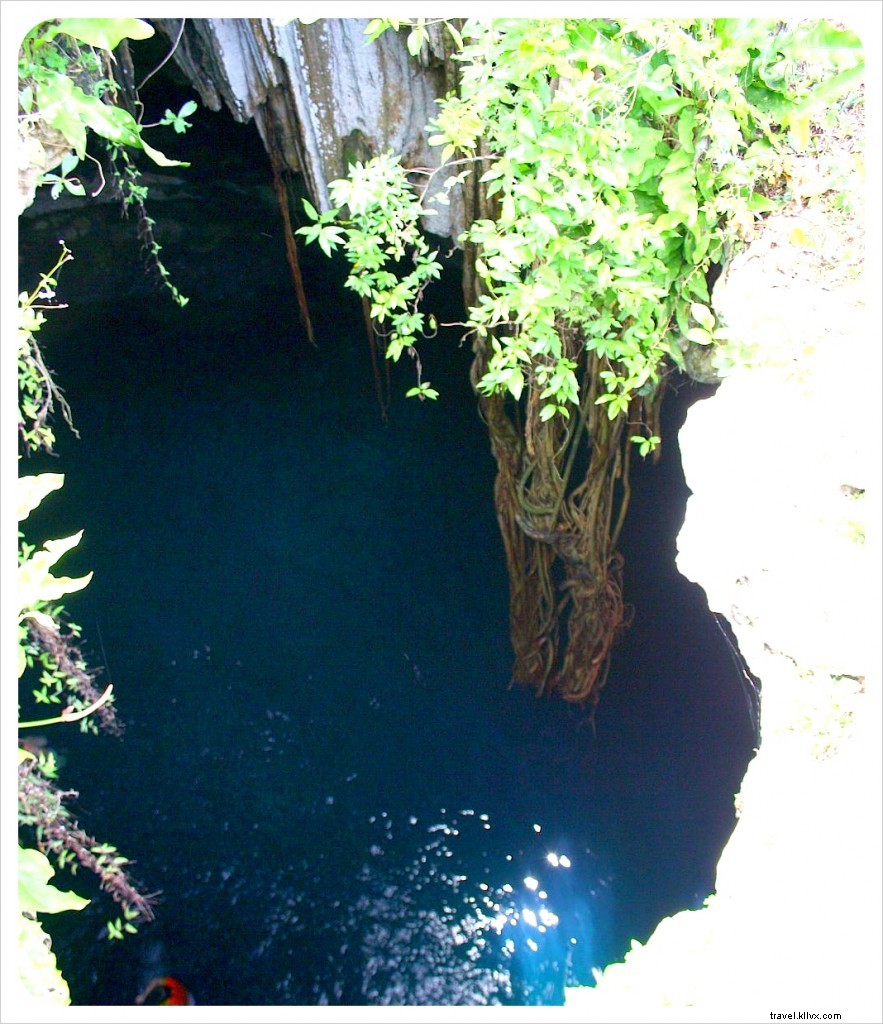 Cenote di dekat Cuzama bukanlah Disneyland, tapi hari keluar memiliki nuansa magis tersendiri