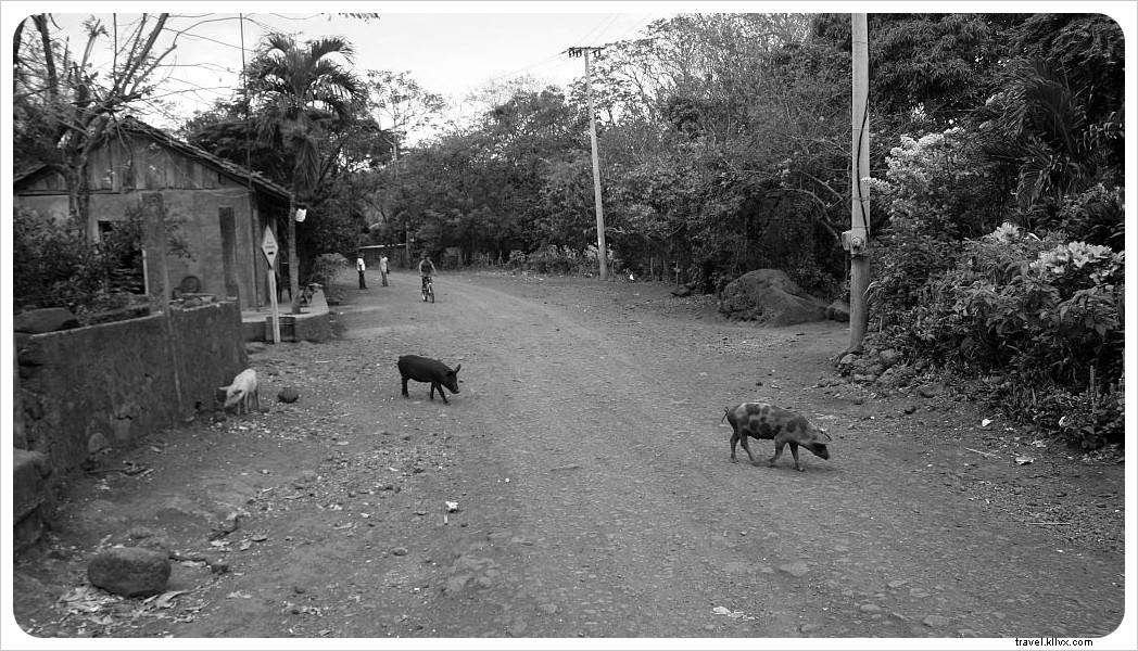 オメテペ島の村の生活、 ニカラグア–フォトエッセイ