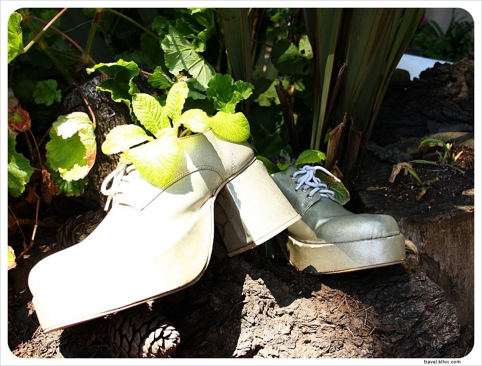 サンフランシスコ：ペインテッドレディと靴の庭