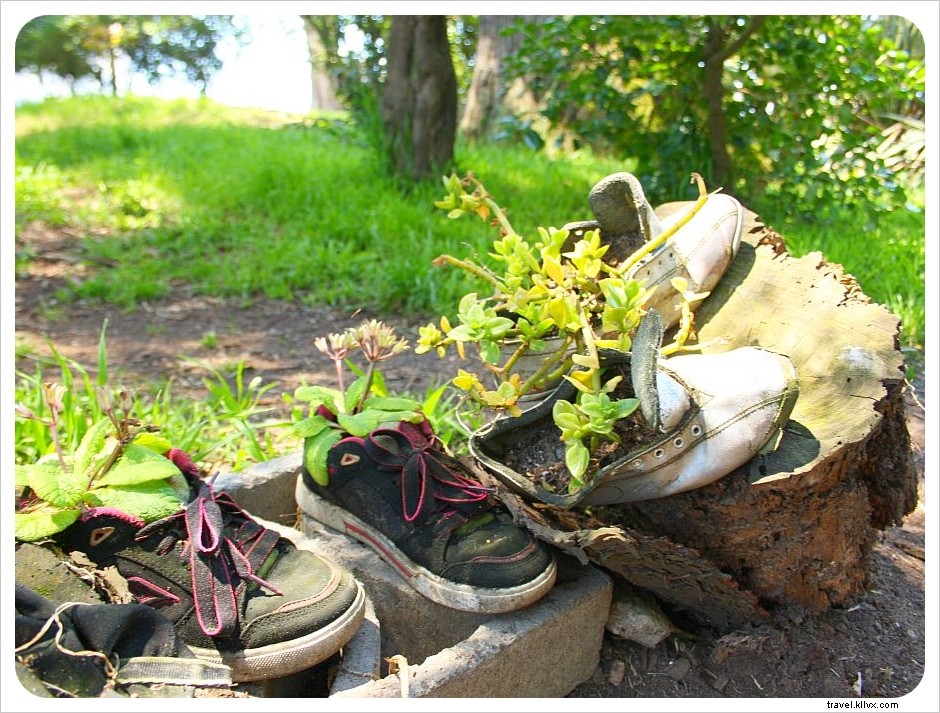 サンフランシスコ：ペインテッドレディと靴の庭