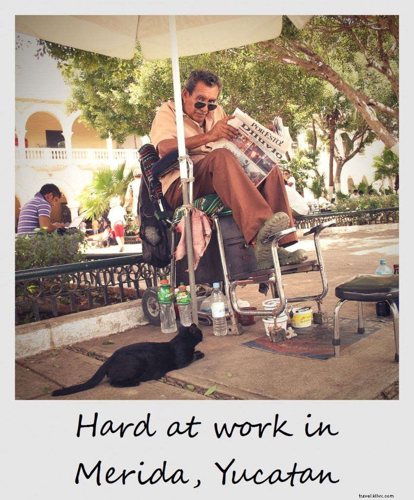 Polaroid de la semaine :Au travail à Merida