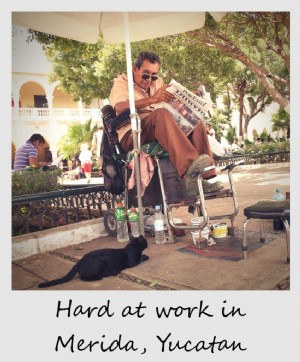 Polaroid de la semana:trabajo duro en Mérida