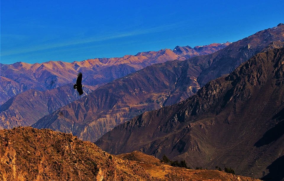 Canyon del Colca, Perù:Trekking, Giro turistico, Fatti e miti