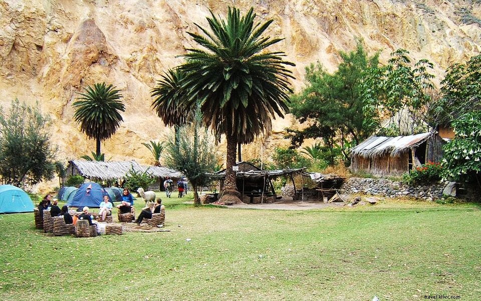 Colca Canyon, Peru:Trekking, Passeio turístico, Fatos e mitos