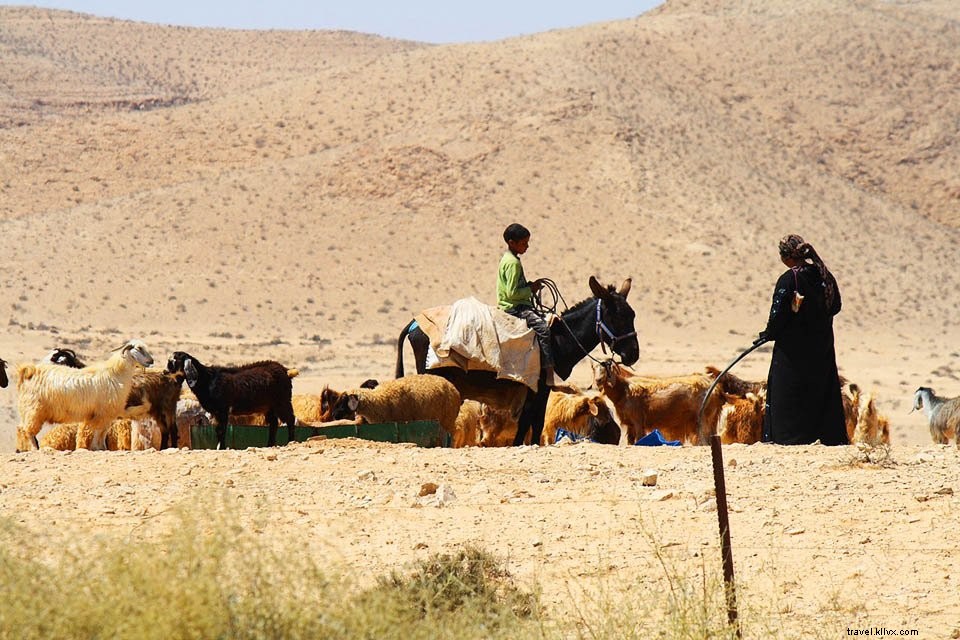 Jordanie #2 :Désert du Wadi Rum