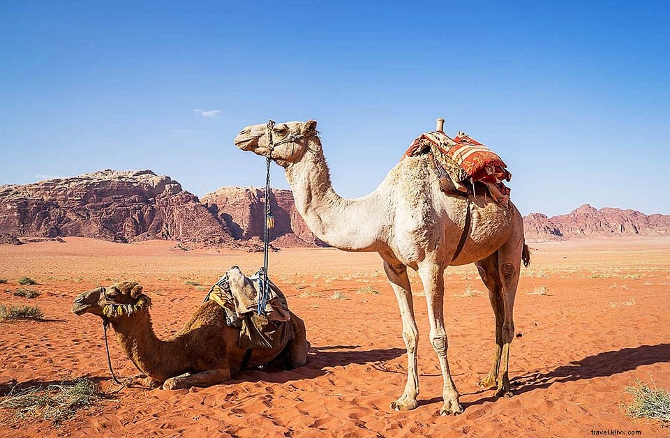 Jordania # 2:Desierto de Wadi Rum