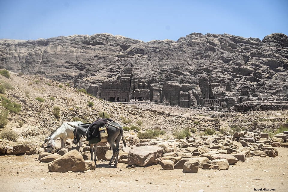 Jordan # 1:Petra, ou por que vale a pena ir para o Oriente Médio