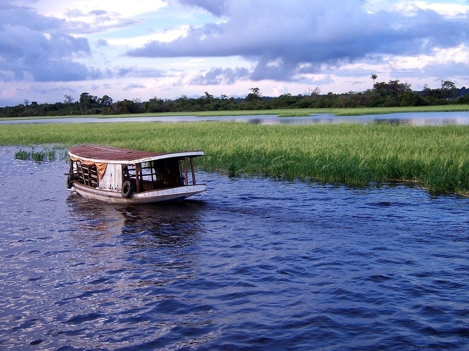 Explorer le Brésil #4 :Manaus, Fleuve Amazone et jungle