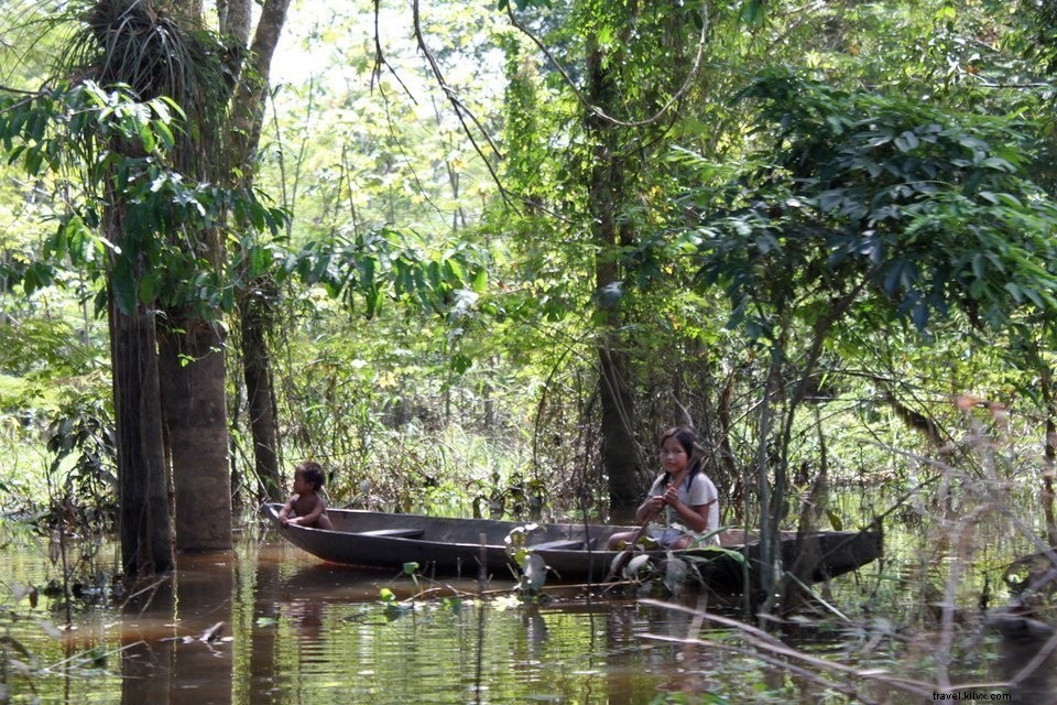 ブラジルの探索＃4：マナウス、 アマゾン川とジャングル