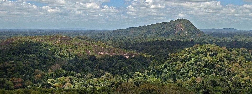 Menjelajahi Brasil #4:Manaus, Sungai dan Hutan Amazon