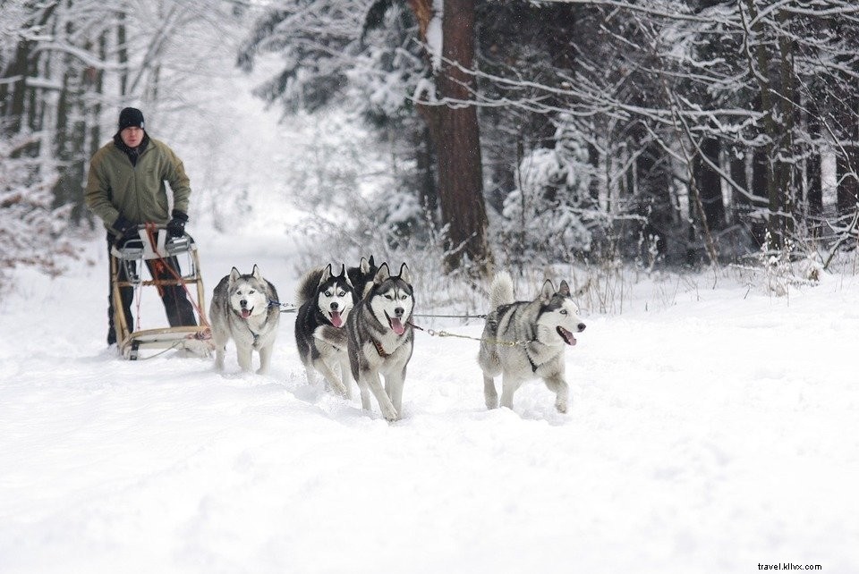 Breve visita al Villaggio di Babbo Natale a Rovaniemi