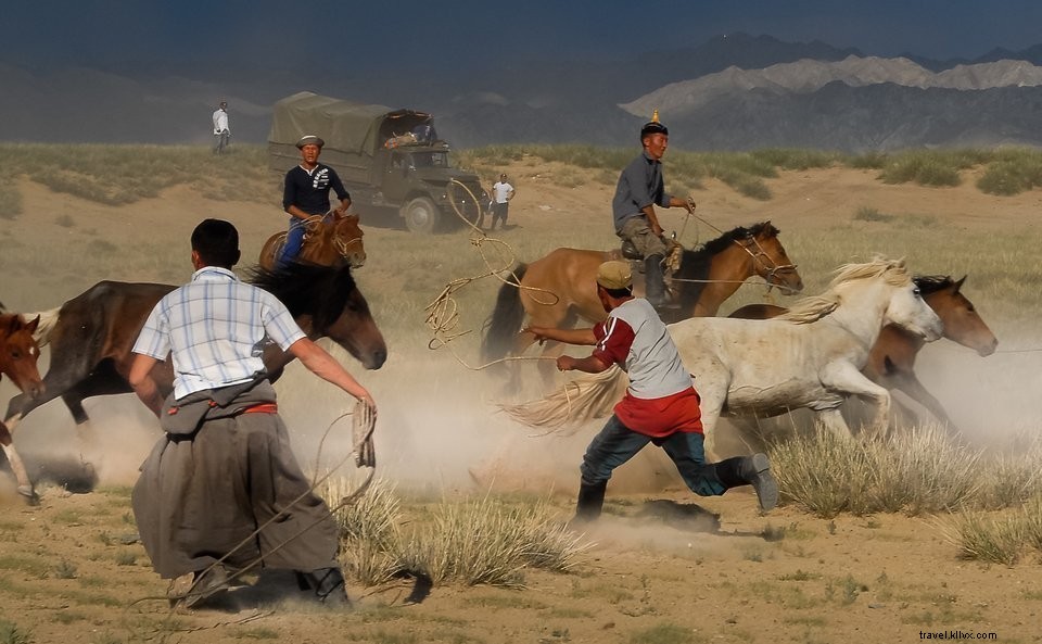 野生のモンゴルを訪問する：遊牧民の冒険