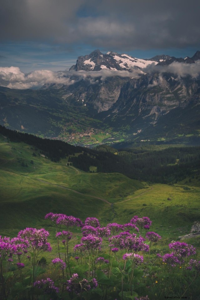 16 hechos increíbles sobre Suiza